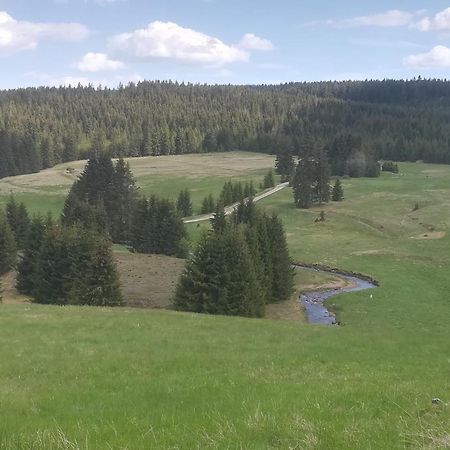 Ferienwohnung Zern Johanngeorgenstadt Buitenkant foto